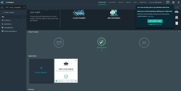 IBM Bluemix Dashboard