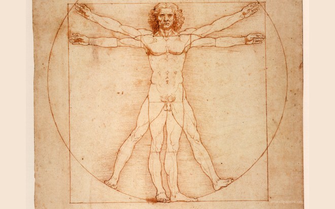 vitruvian man